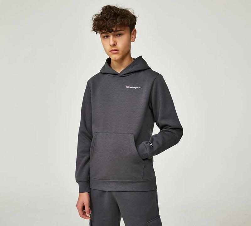 SWEATSHIRT - AVT