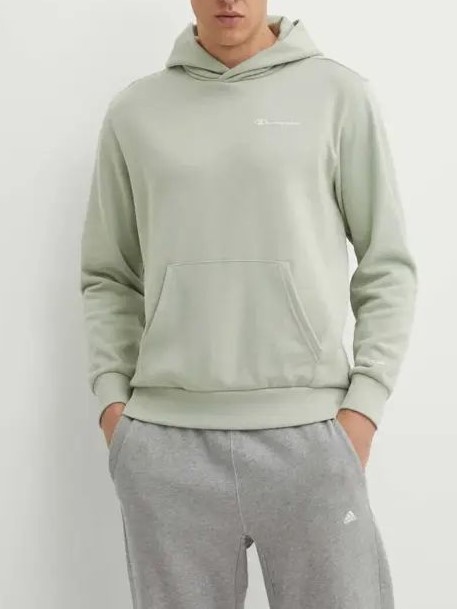 SWEATSHIRT - WSW