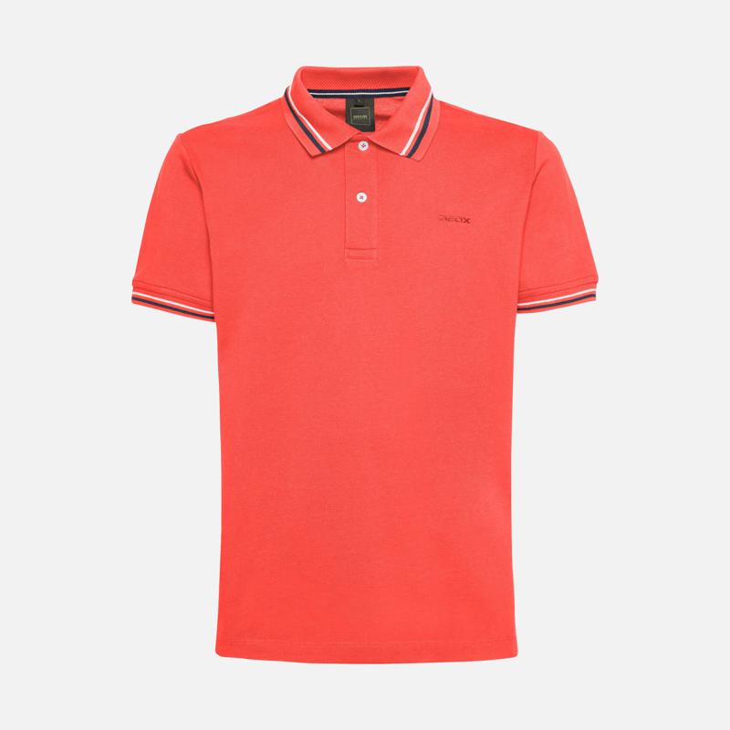 POLO - PIQUANT GREEN